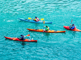 Image by Brandon McDonald