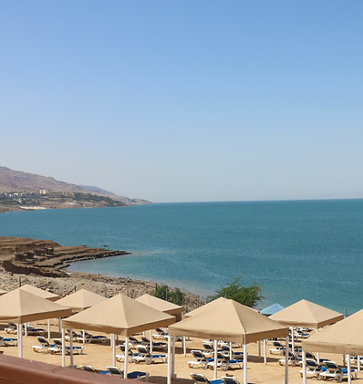 Image by Dilip Poddar