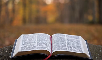 Image by Aaron Burden