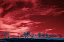 Image by Wolfgang Hasselmann