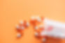 Monitoring your dog on Levetiracetam