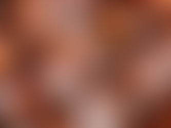 Cracked egg shells in a carton