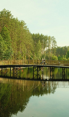 Bridge over a stream in nature, symbolizing guidance and support for newcomer families