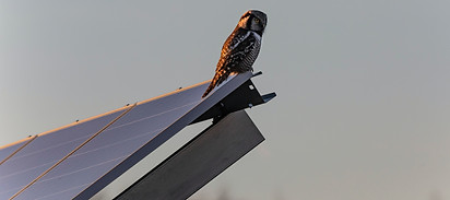 Image by Erik Karits