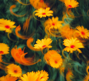 Image by Eugene Golovesov