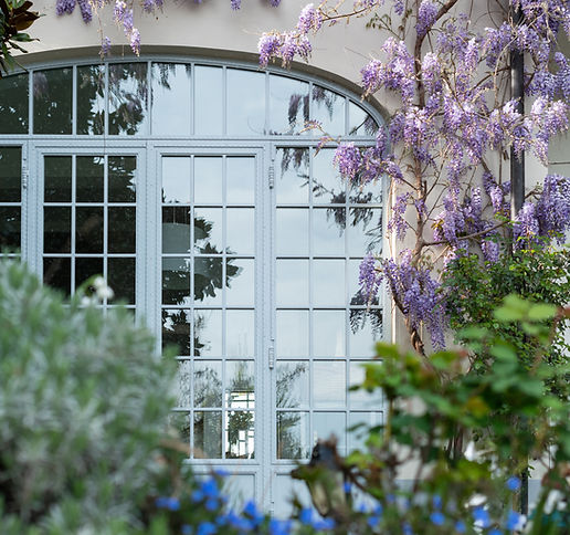Image by Elena Kloppenburg