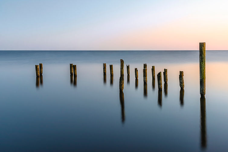 Image de Jay Lamm