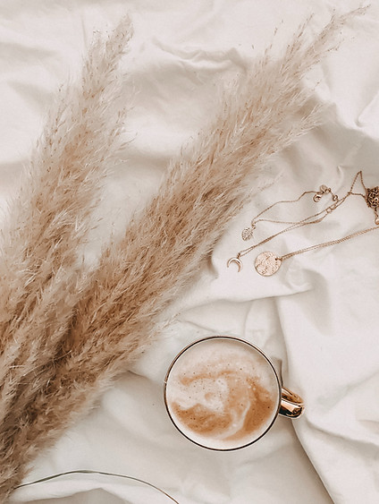 Image by Alyssa Strohmann