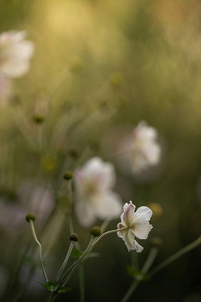 Image by andreas kretschmer