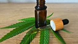 A brown dropper bottle and pipette on a wooden surface, surrounded by vibrant green cannabis leaves. Calm, natural setting.