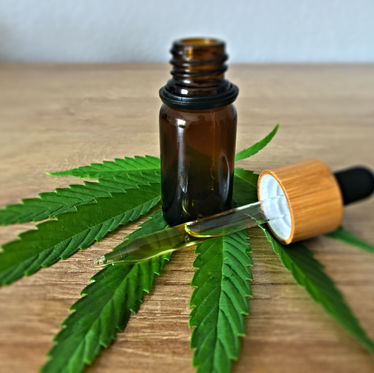 Blueberries Medical to Collaborate with the International Research Center