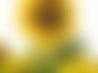 マルコによる福音書5章42-43節