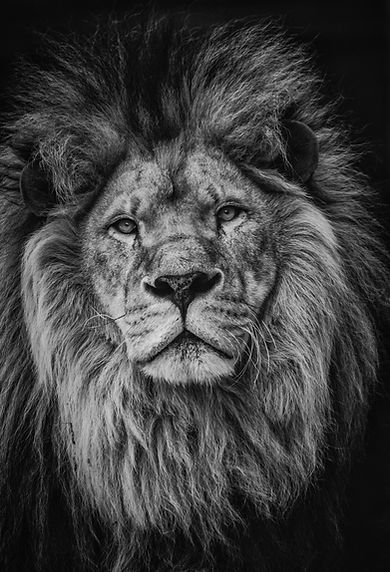Image by eric combeau