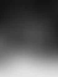 71. Salud vs Nutrición: Bajo Consumo en Ganado Lechero, ¿Cuánto Pierdes?