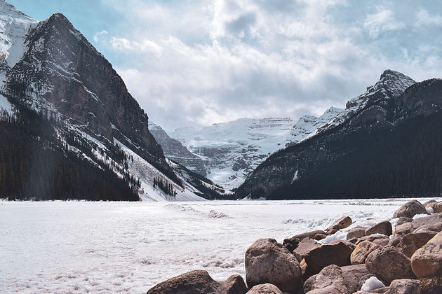 Image by Will Tarpey