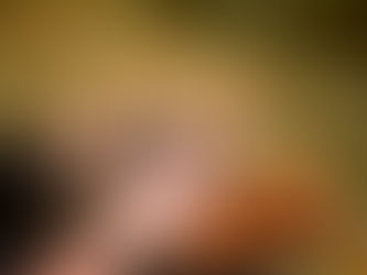 Je hond filmen bij gewrichtspijn: in 5 stappen naar een snellere diagnose bij de dierenarts