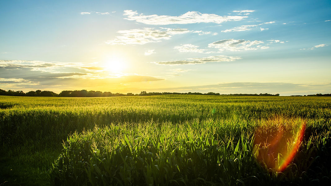 Iowa Farm Land