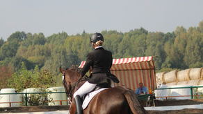 Brown dressage horse in a sand arena