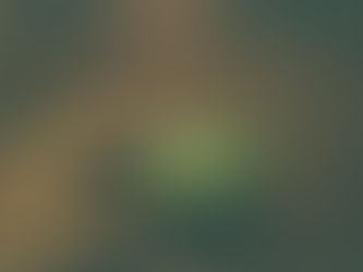 Hotel Privilege Cards