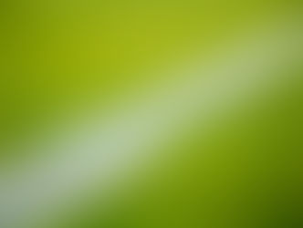 Newfoundland and Labrador to host 2026 Para Cup