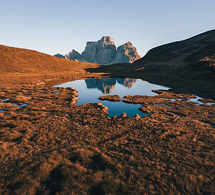 Image by Dario Rawert