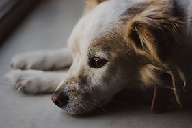 Image by Itay Kabalo