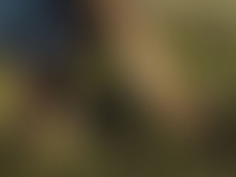 Quando o terapeuta vira personagem