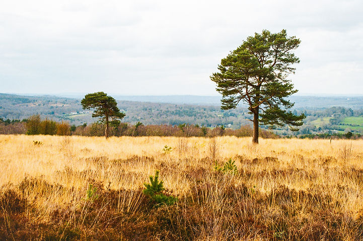 Image by Ashley Gorringe