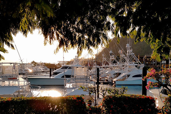 Image by Chalo Garcia