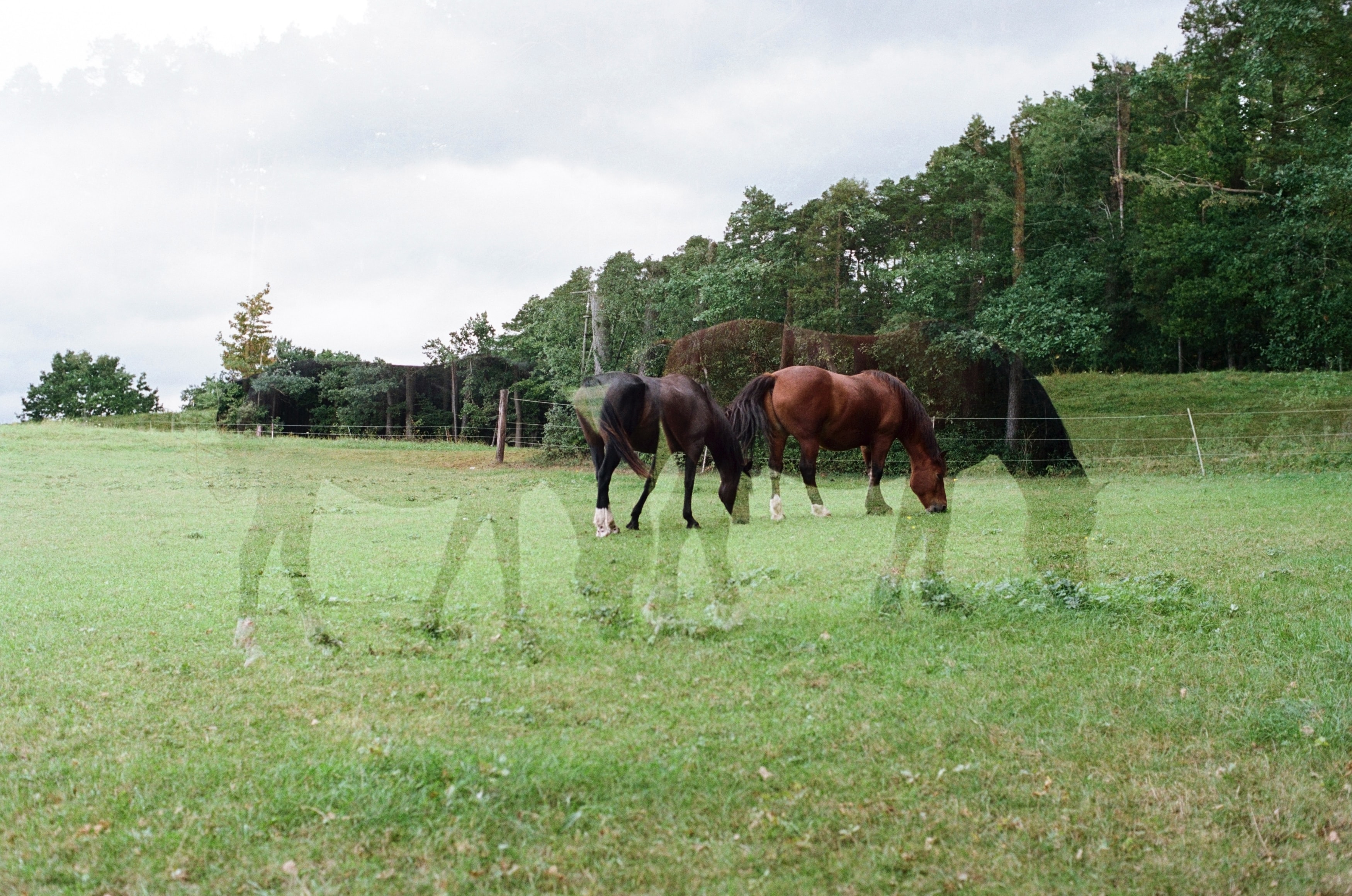 農林・水産業の電子帳簿保存法のタイムスタンプ：スキャンサービス沖縄那覇店