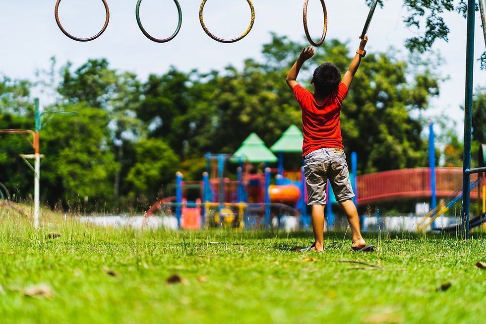 monkey bar playground