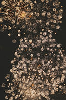 Image by Yiran Yang