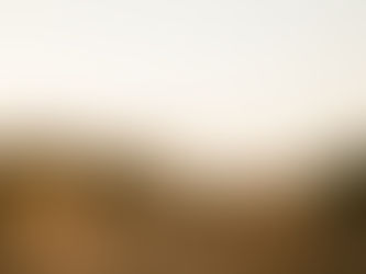 DIDN'T RECEIVE THE GIFT