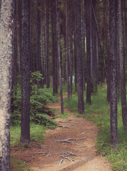 Image by Maddy Baker
