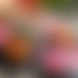 Hand holding house-shaped keychain above colorful toy houses, with keys dangling. The scene is bright and playful.