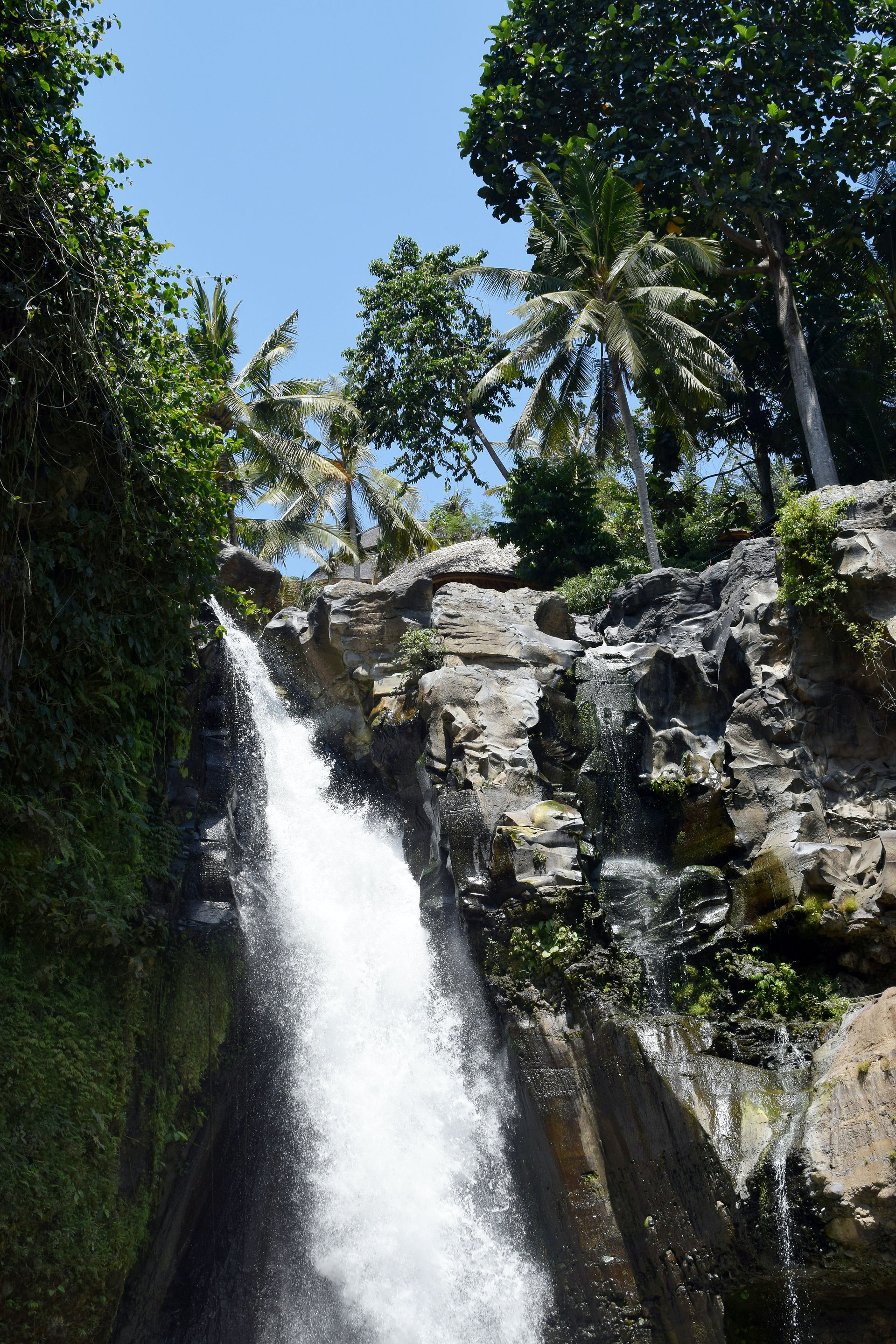 Qué ver y hacer en Ubud, Bali