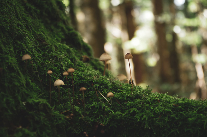 Image by Vinit Srivastava