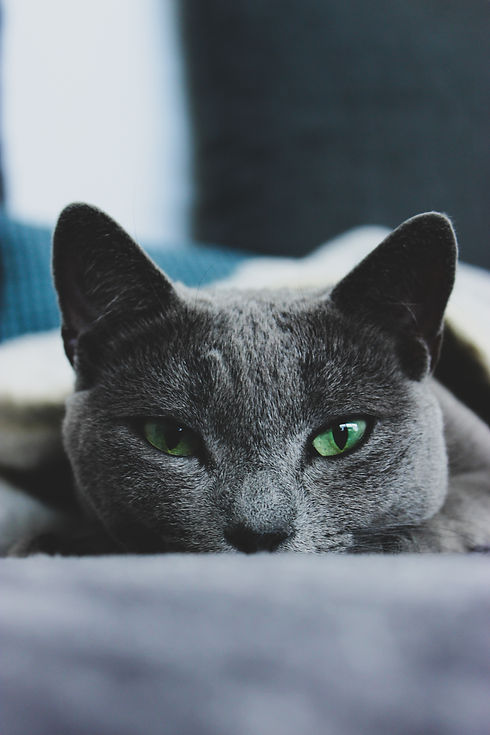 Image by Katharina Gloth