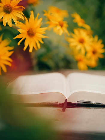 Open book on a table surrounded by blurred yellow flowers, creating a warm, dreamy garden reading scene.