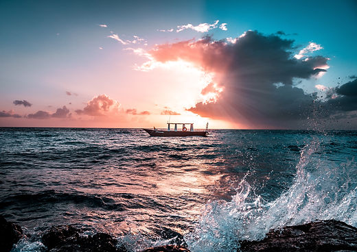 Image by Bruno van der Kraan