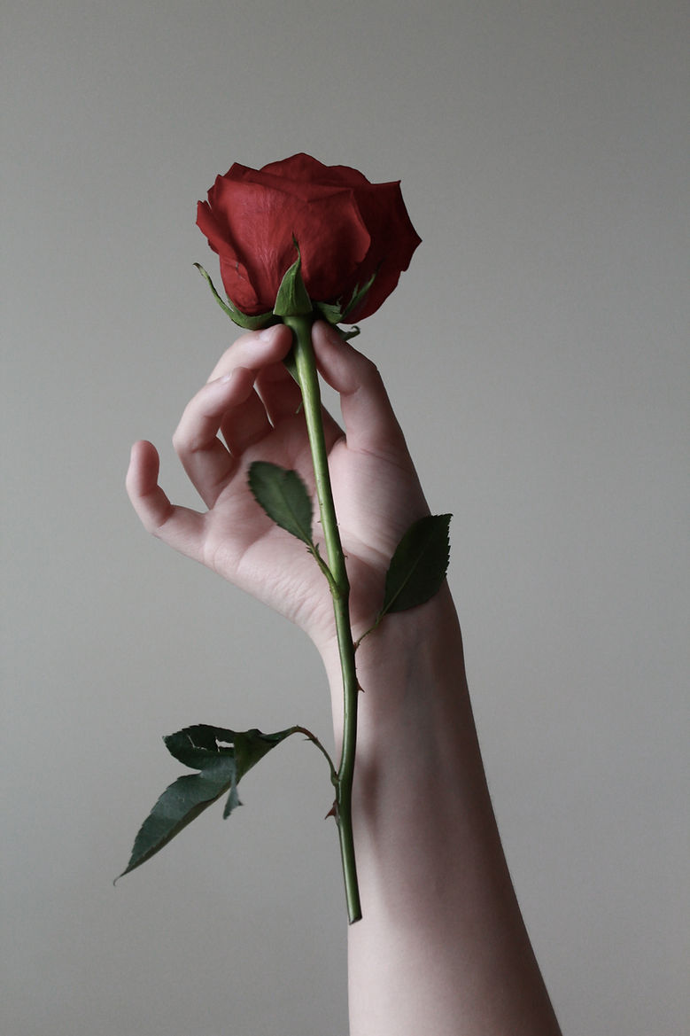 Image by Meghan Schiereck