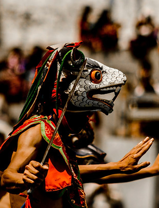 Image by Ujwal Hollica