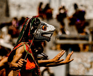 Image by Ujwal Hollica