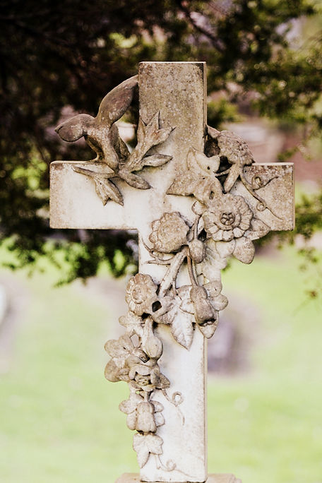 Image by Sandy Millar