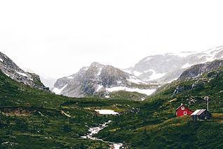 139787703-3.jpg