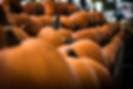 Young Adults FALL PARTY