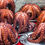 Miniature : PULPO  - Polpo lesso