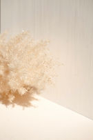 Image de Elena Joland