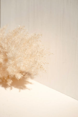 Image de Elena Joland