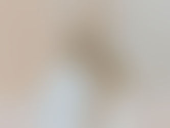 Dall'Italia alla Germania: una storia di successo con CareMP2